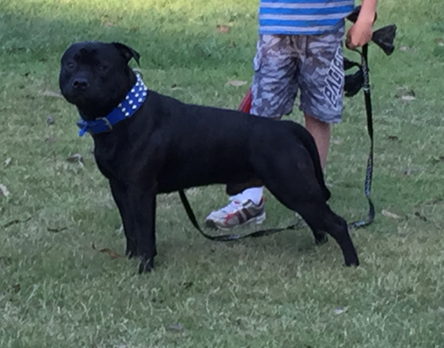  Lilcracka Metallica ~ 